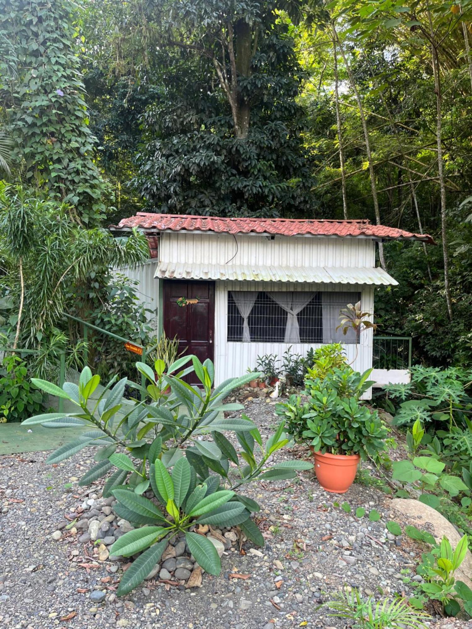 Casa Escondida Apartments Manuel Antonio Exteriér fotografie